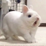 想吃螺狮粉.