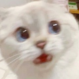 😊