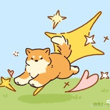 柴犬漫游🌕