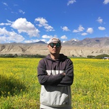 清淡无奇