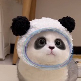 今天学习了吗