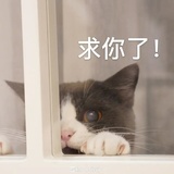 一个乱跑的人