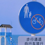 龙井玫瑰