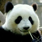 不忘初心
