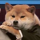 上将邢道荣