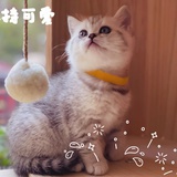 Yanzi76