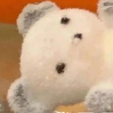 抓猪对长