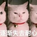 爱抬杠是咋滴
