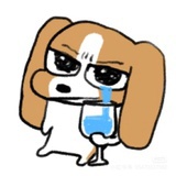 KOKOMI