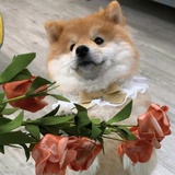 我说得对吗