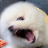 十四洲