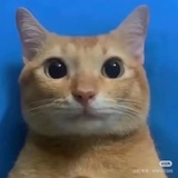 做个好人