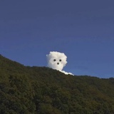 唧唧棒