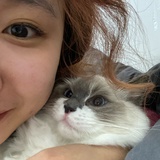 我一定会读博哒