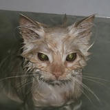 水淹没我吞噬我