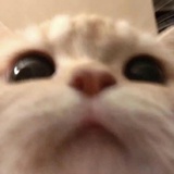 mistero