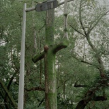 群岛 群岛