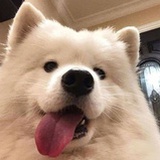 叮咚叮咚