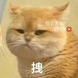 胖罐子胖摔