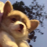 累了的麻辣烫