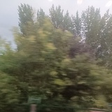 离别开出花
