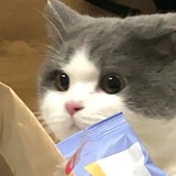 小满