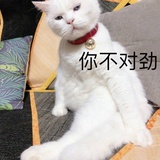 2020更顺心