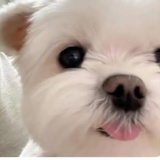 xuuxux