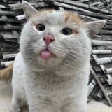 云娉