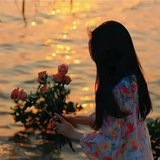 晓豆