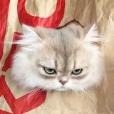 璃笙