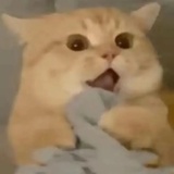 咕咕咕
