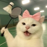 喂
