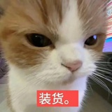孜然蟹柳全肯定