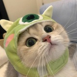 被我次掉咯