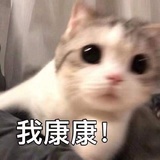 苏幕遮