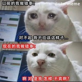 喜欢骂哥哥