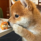 啊？？？