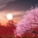 雪月花