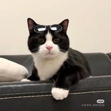想去海边