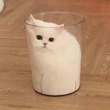 🍒 啦啦啦~