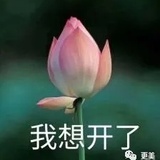 喵～