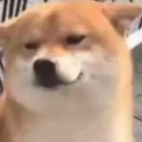 无聊群众