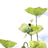 思坦青青