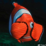 Nemo