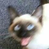 匿名区