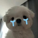 闭上失眠眼睛