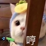 糕糕子
