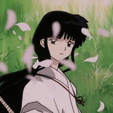 优质木材