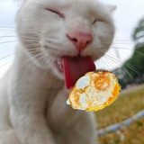 别再睡过头了